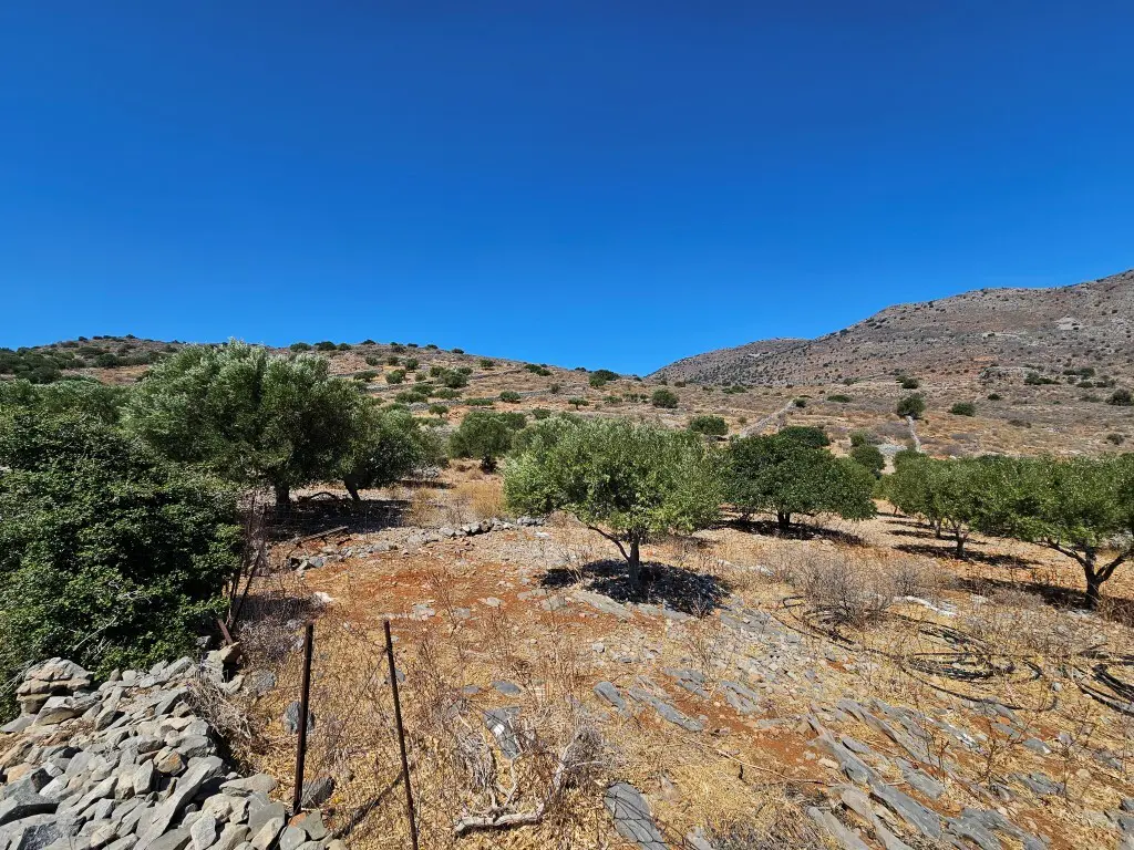 Land Of 5826 M² In Crete