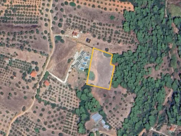 Land Of 4553 M² In Sithonia, Chalkidiki