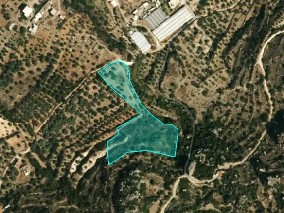 Land Of 7018 M² In Crete