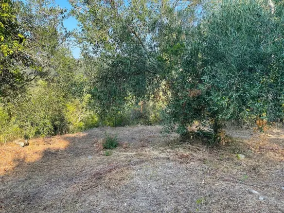 Land Of 1047 M² In Corfu