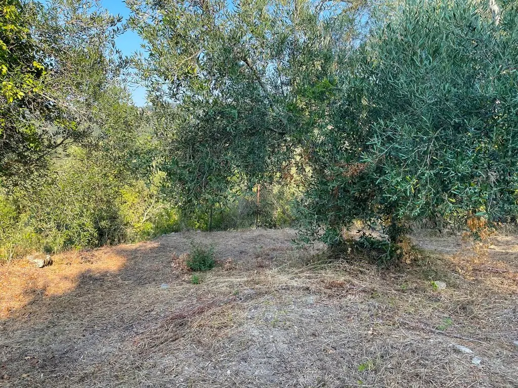Land Of 1047 M² In Corfu