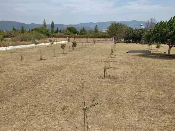 Commercial Property Of 487 M² In Thrace