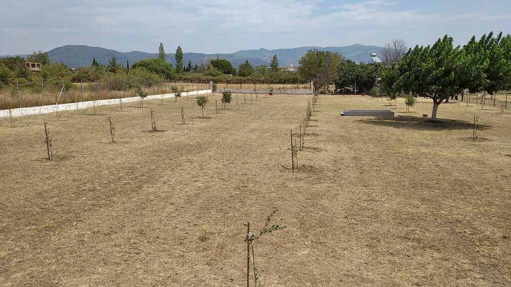 Commercial Property Of 487 M² In Thrace