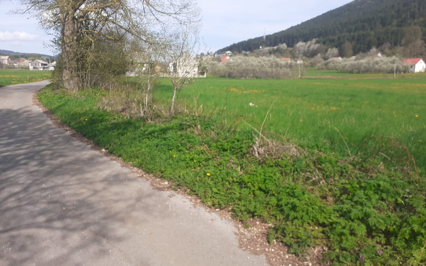 Land Of 20000 M² In Plitvice Lakes, Croatia