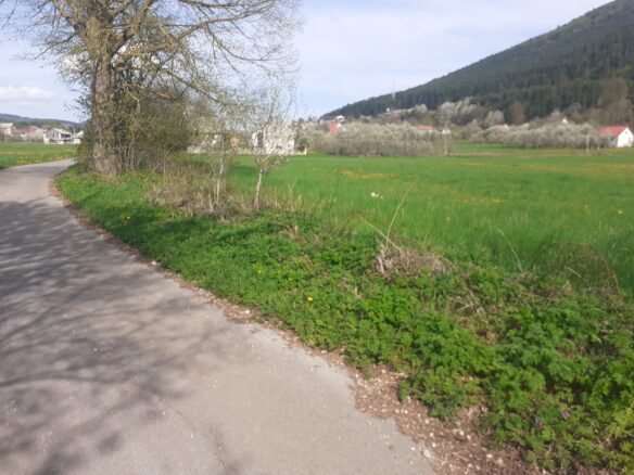 Land Of 20000 M² In Plitvice Lakes, Croatia