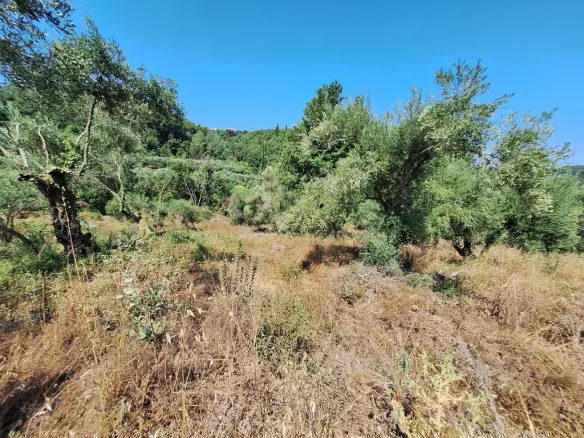 Land Of 4028 M² In Corfu