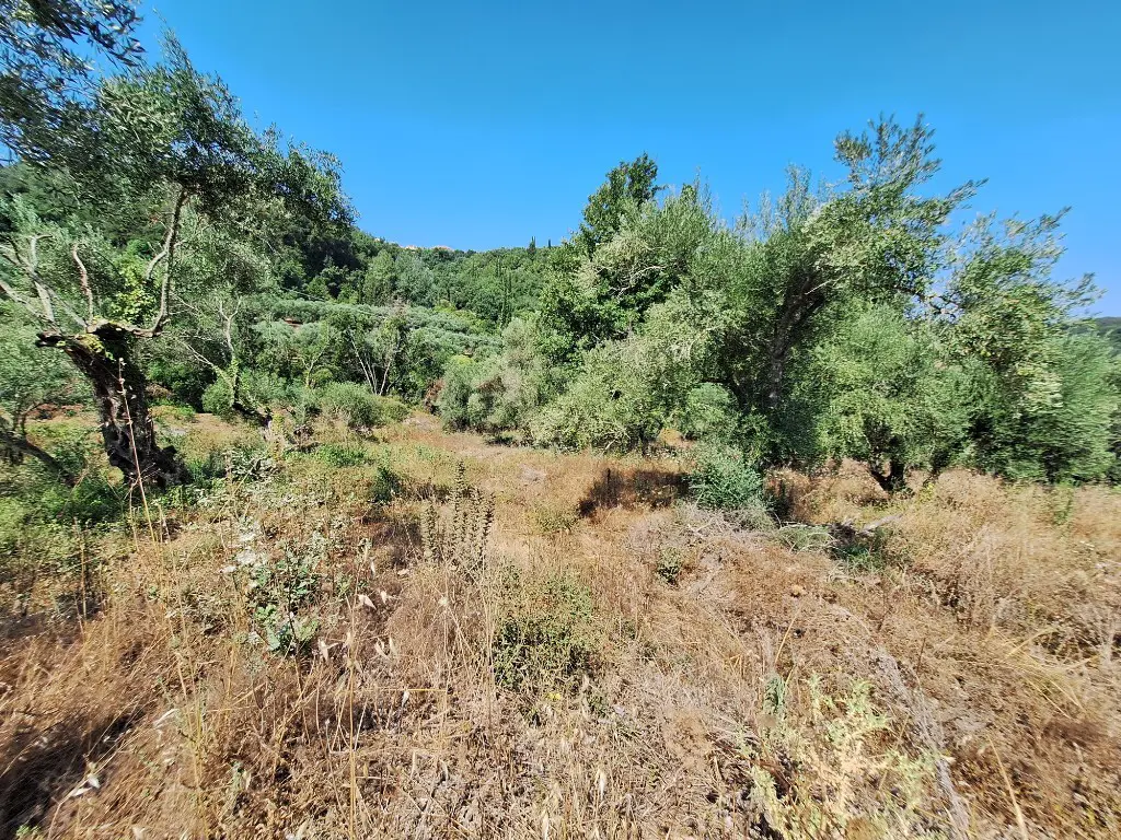 Land Of 4028 M² In Corfu