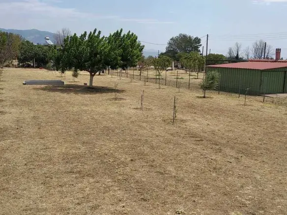 Commercial Property Of 487 M² In Thrace