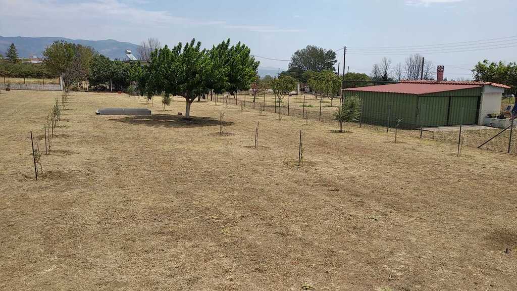 Commercial Property Of 487 M² In Thrace