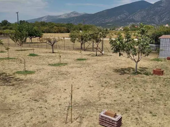 Commercial Property Of 487 M² In Thrace