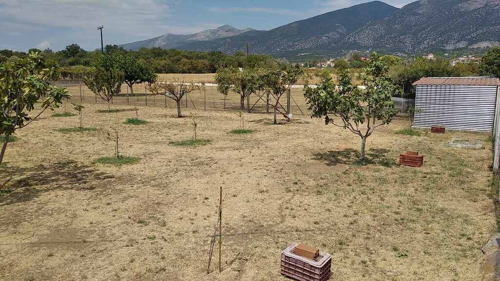 Commercial Property Of 487 M² In Thrace