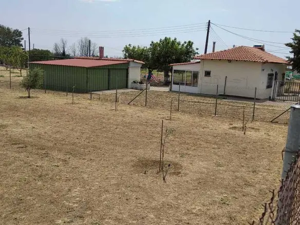 Commercial Property Of 487 M² In Thrace