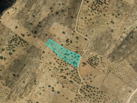 Land Of 5826 M² In Crete