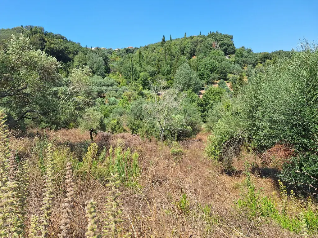 Land Of 4028 M² In Corfu