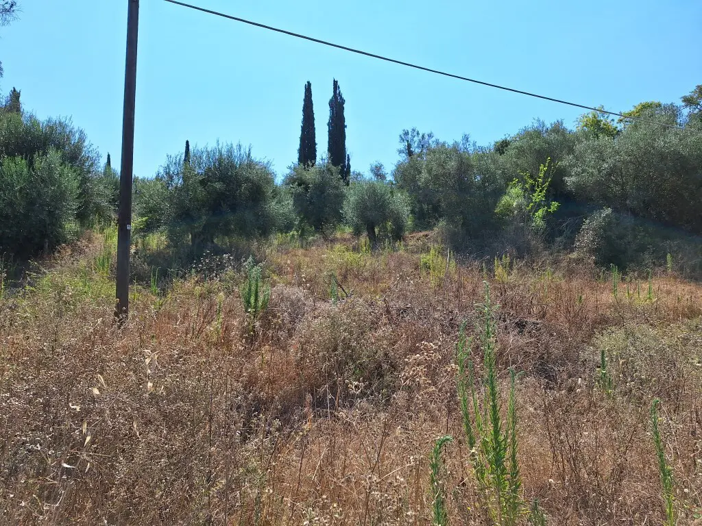 Land Of 4028 M² In Corfu