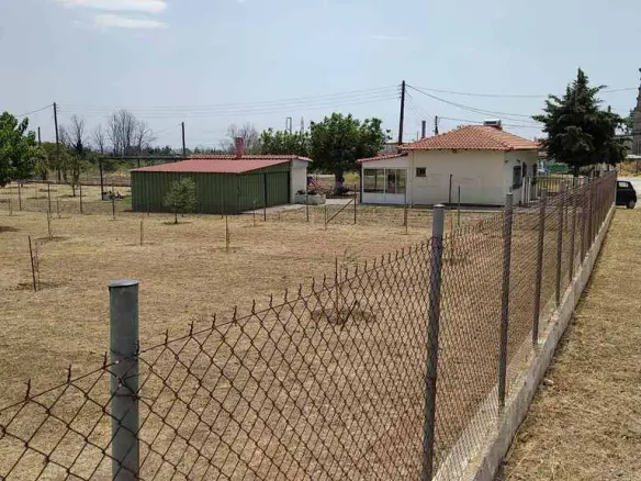Commercial Property Of 487 M² In Thrace