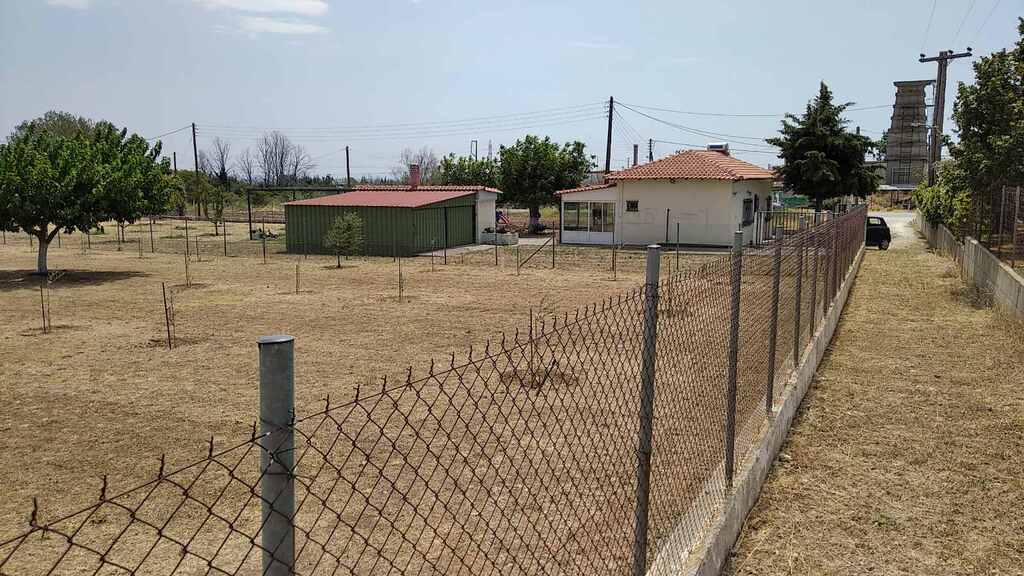 Commercial Property Of 487 M² In Thrace