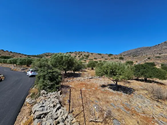 Land Of 5826 M² In Crete