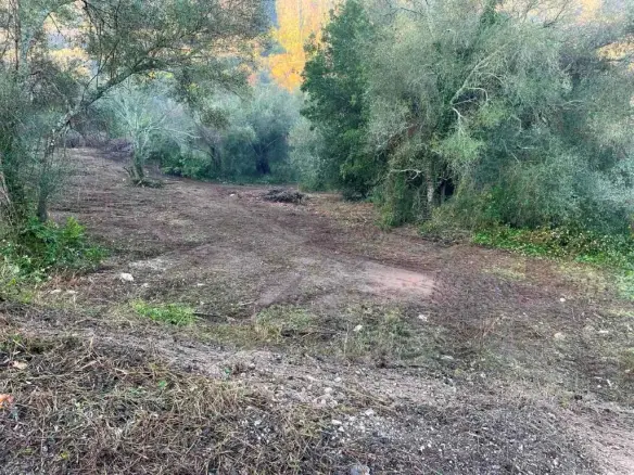 Land Of 4028 M² In Corfu