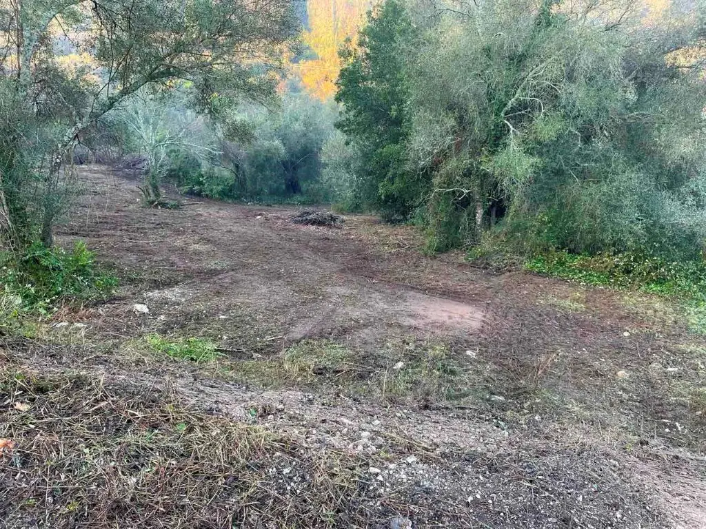 Land Of 4028 M² In Corfu