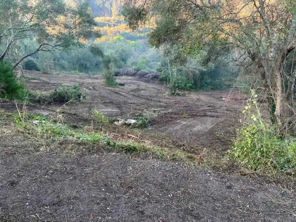 Land Of 4028 M² In Corfu