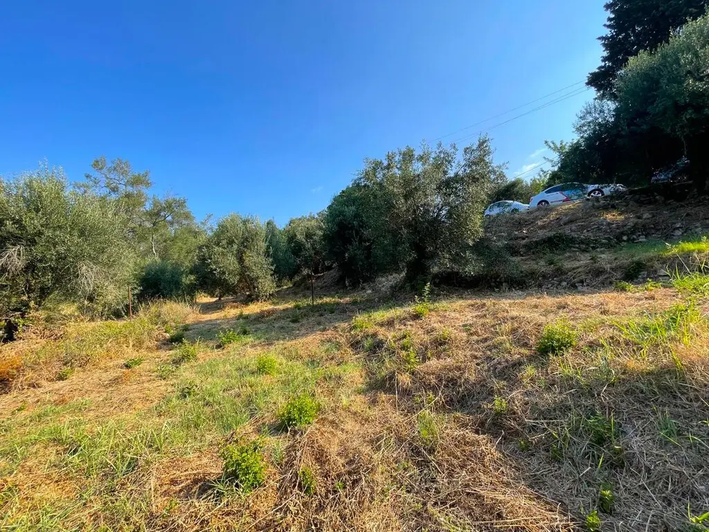 Land Of 1047 M² In Corfu