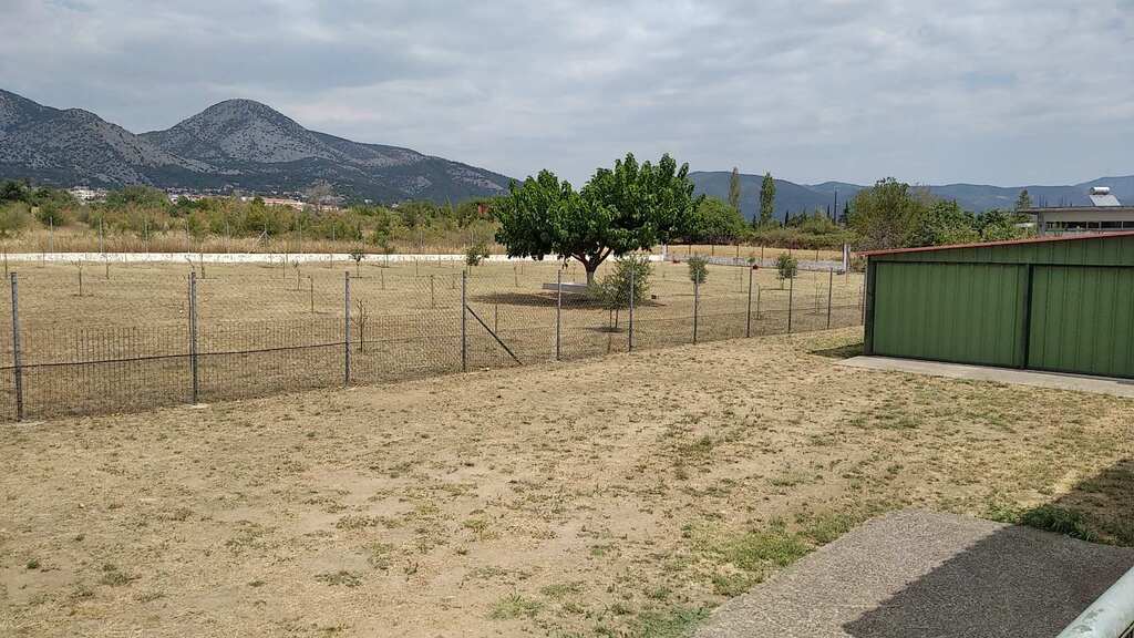 Commercial Property Of 487 M² In Thrace