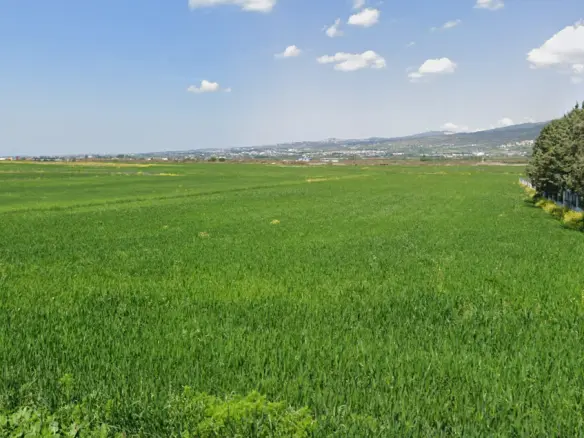 Land Of 4650 M² In The Suburbs Of Thessaloniki