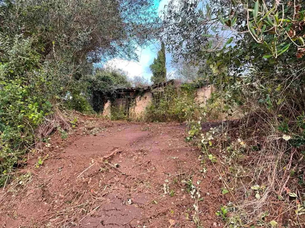 Land Of 4028 M² In Corfu