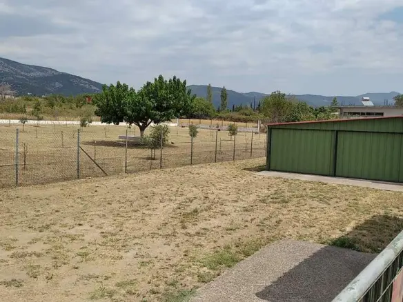 Commercial Property Of 487 M² In Thrace