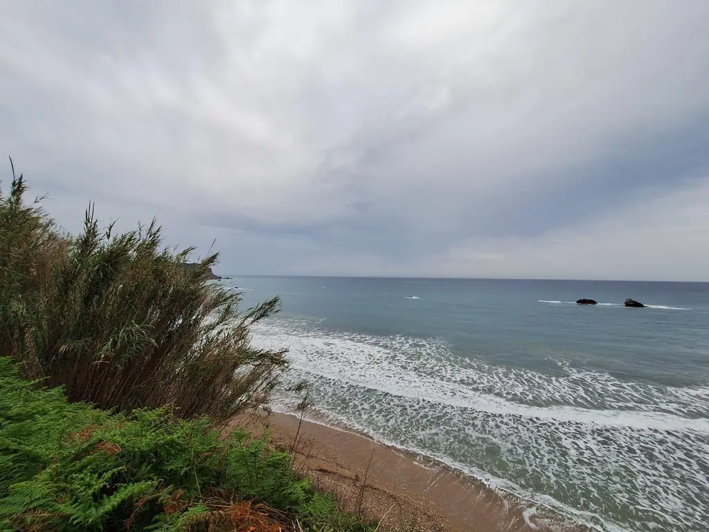 Land Of 4444 M² In Corfu