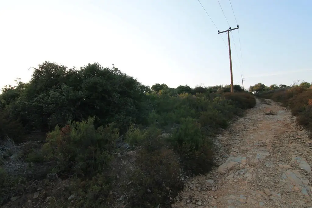 Land Of 9500 M² In Athos, Chalkidiki