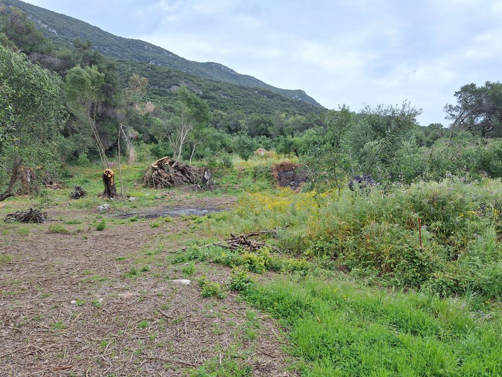 Land Of 7000 M² In Corfu