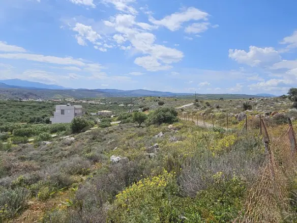 Land Of 2600 M² In Crete