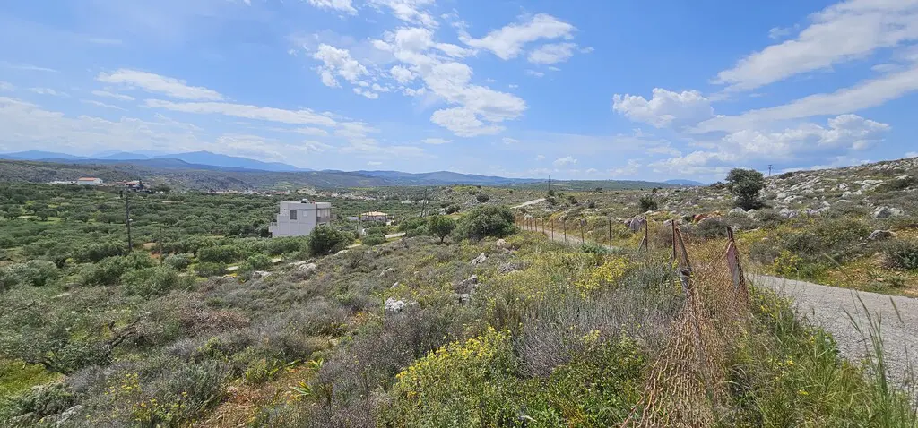 Land Of 2600 M² In Crete