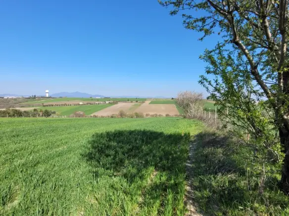 Land In Mikra, Greece