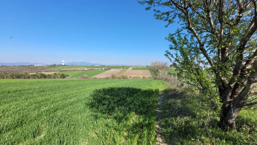 Land Of 7311 M² In The Suburbs Of Thessaloniki
