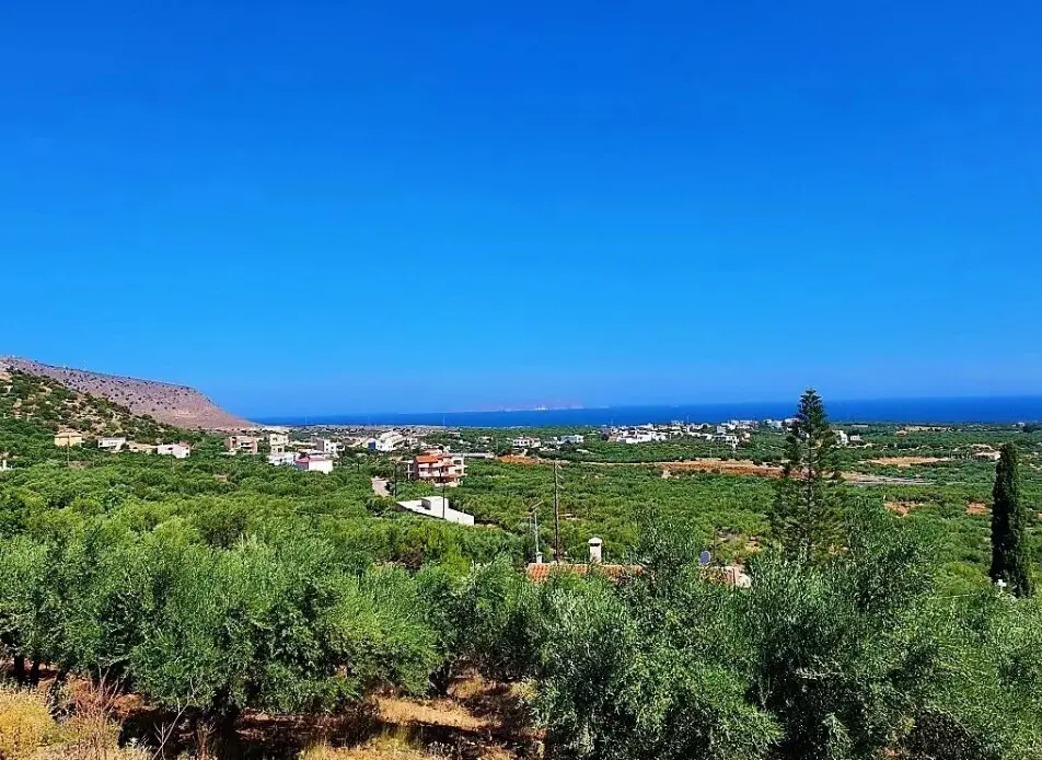 Land Of 8146 M² In Crete