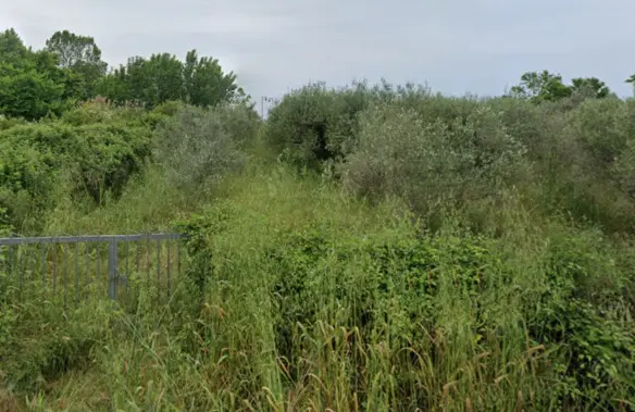 For Sale Land 2100 M² On The Olympic Coast