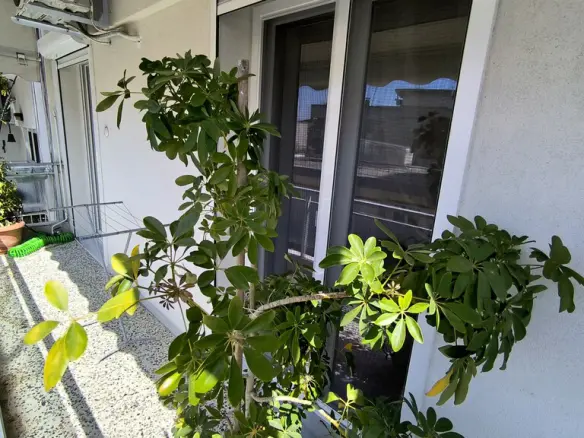 1-bedroom Flat In Katerini, Greece (85 M²)