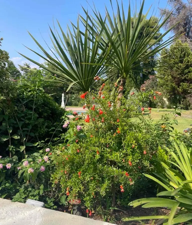 Detached House Of 150 M² In Kassandra, Chalkidiki