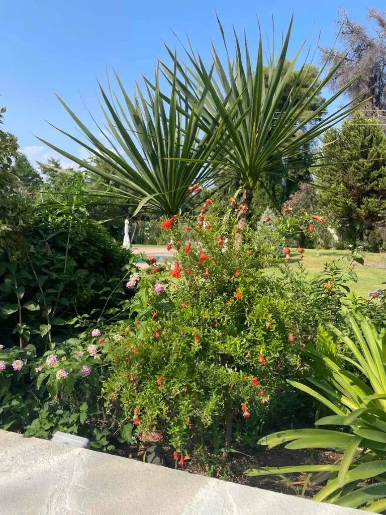 Detached House Of 150 M² In Kassandra, Chalkidiki