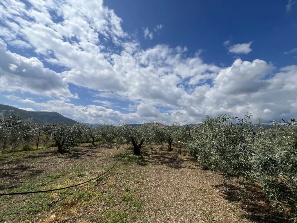 Villa Of 240 M² In Eastern Peloponnese