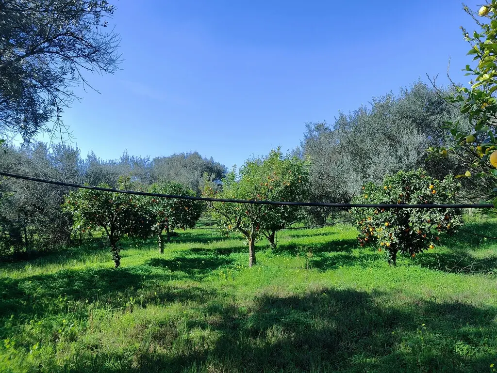 Detached House Of 155 M² In Peloponnese