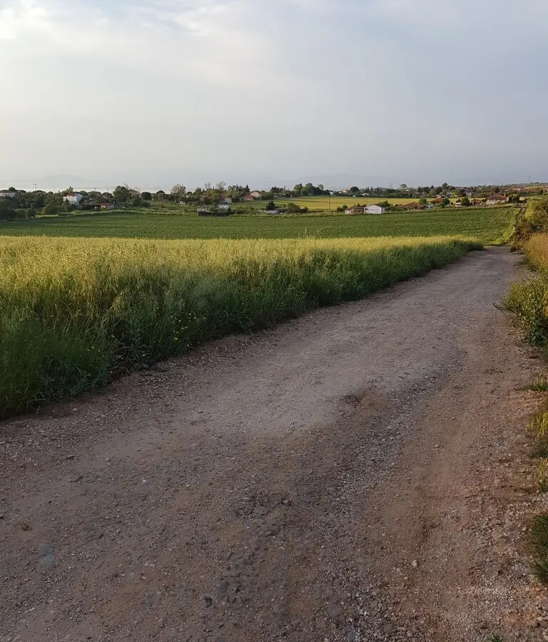 Land Of 4980 M² In Kassandra, Chalkidiki