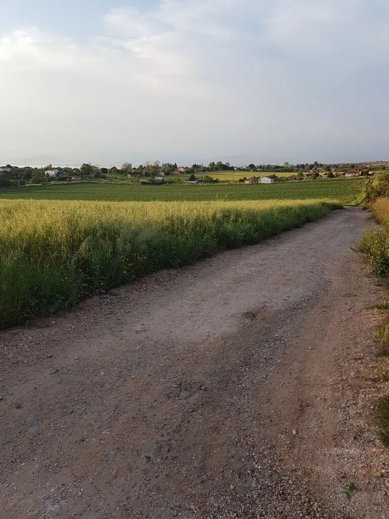 Land Of 4980 M² In Kassandra, Chalkidiki