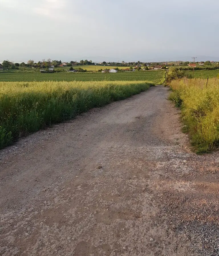 Land Of 4980 M² In Kassandra, Chalkidiki