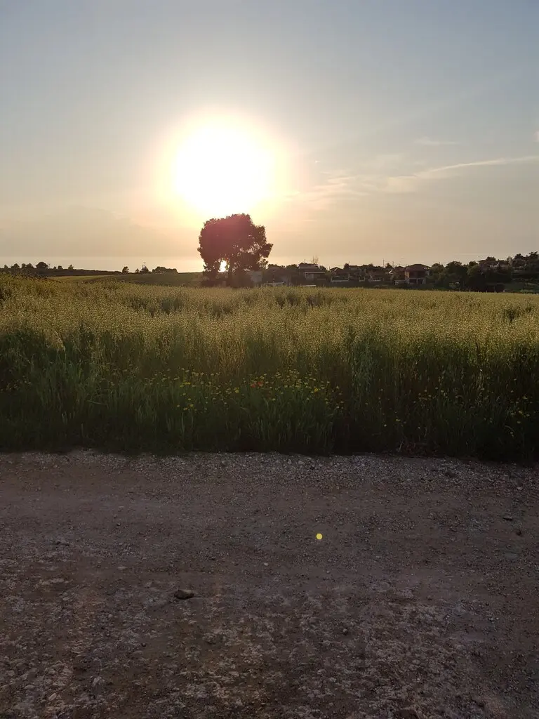 Land Of 4980 M² In Kassandra, Chalkidiki