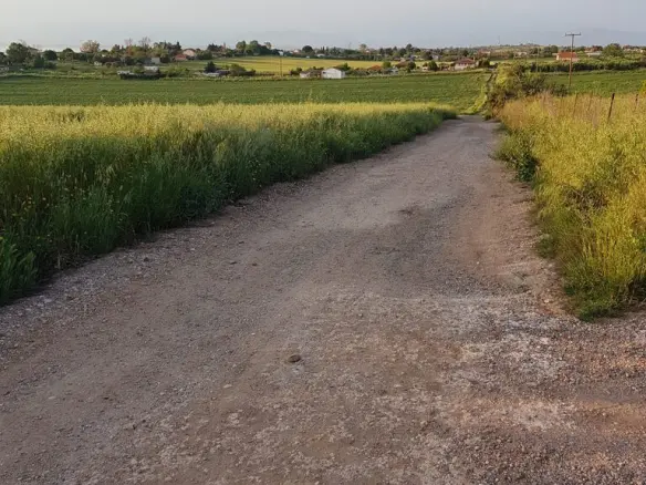 Land In Kassandra, Greece