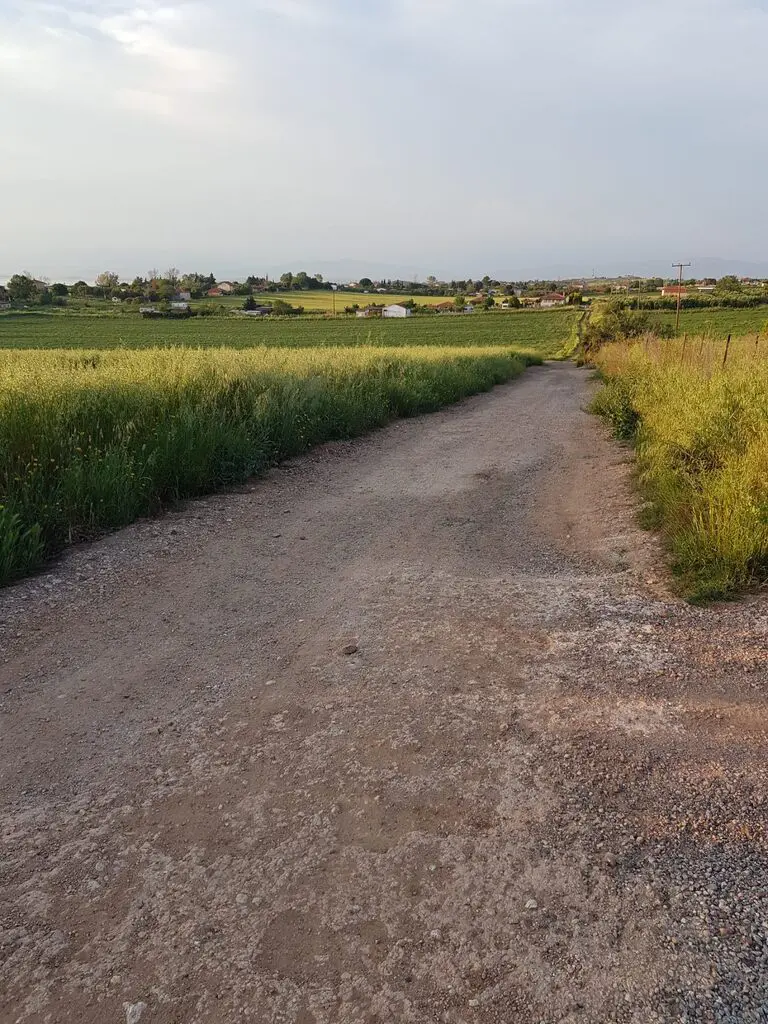 Land Of 4979 M² In Kassandra, Chalkidiki